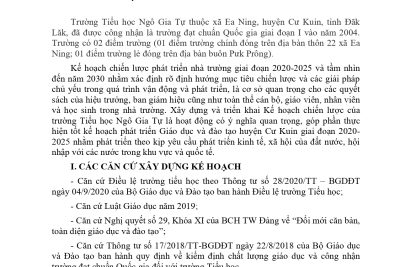 KẾ HOẠCH CHIẾN LƯỢC PHÁT TRIỂN TRƯỜNG TIỂU HỌC NGÔ GIA TỰ GIAI ĐOẠN 2020- 2025 VÀ TẦM NHÌN ĐẾN NĂM 2030