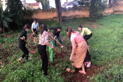Đoàn thanh niên trường Tiểu học Ngô Gia Tự tổ chức thực hiện Công trình “Thanh niên trồng cây xanh, chăm sóc vườn cây chè xanh”, duy trì công tác chăm sóc góp phần xây dựng môi trường học tập “Xanh – Sạch – Đẹp”
